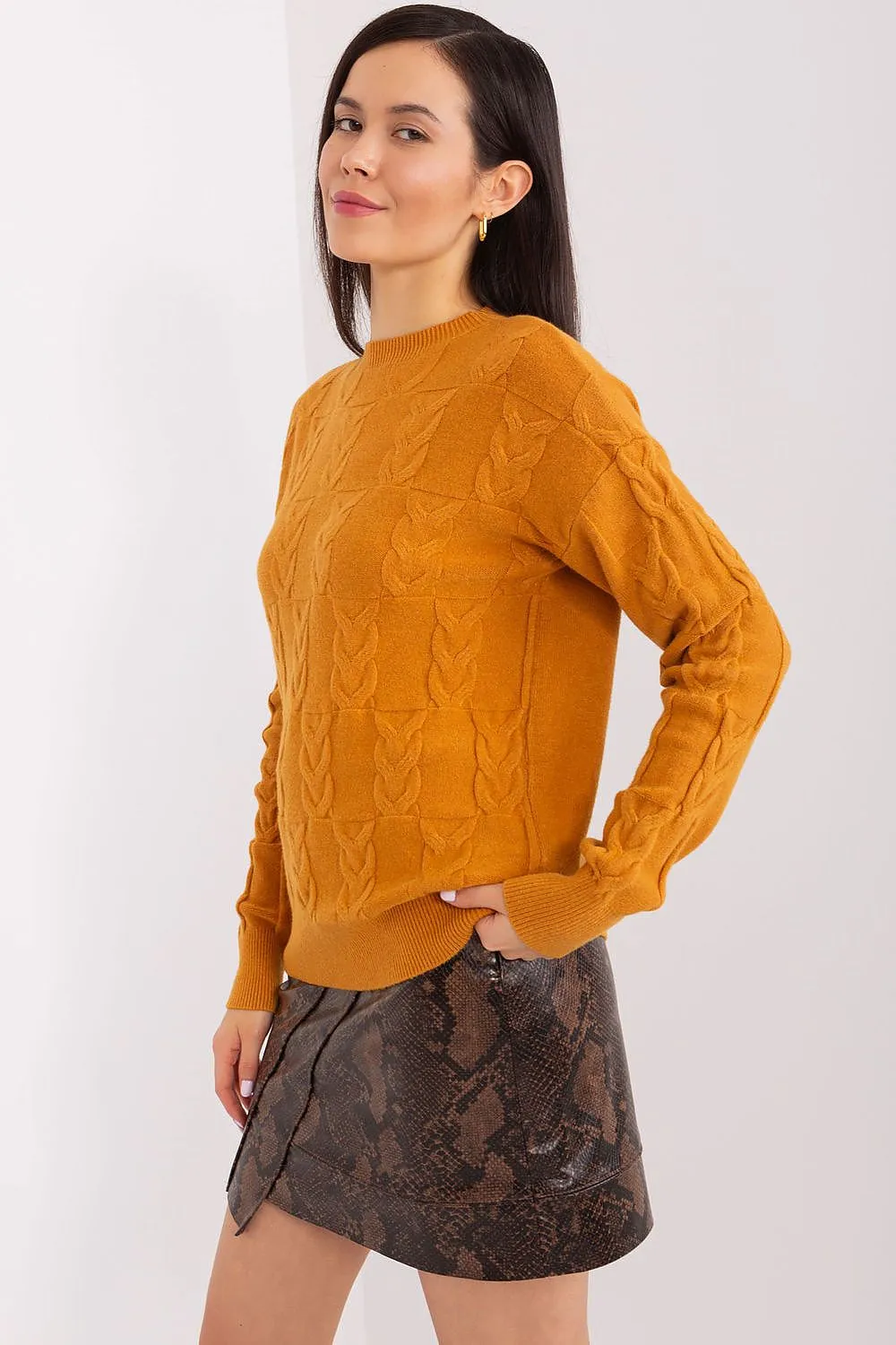Cardigan model 199545 AT