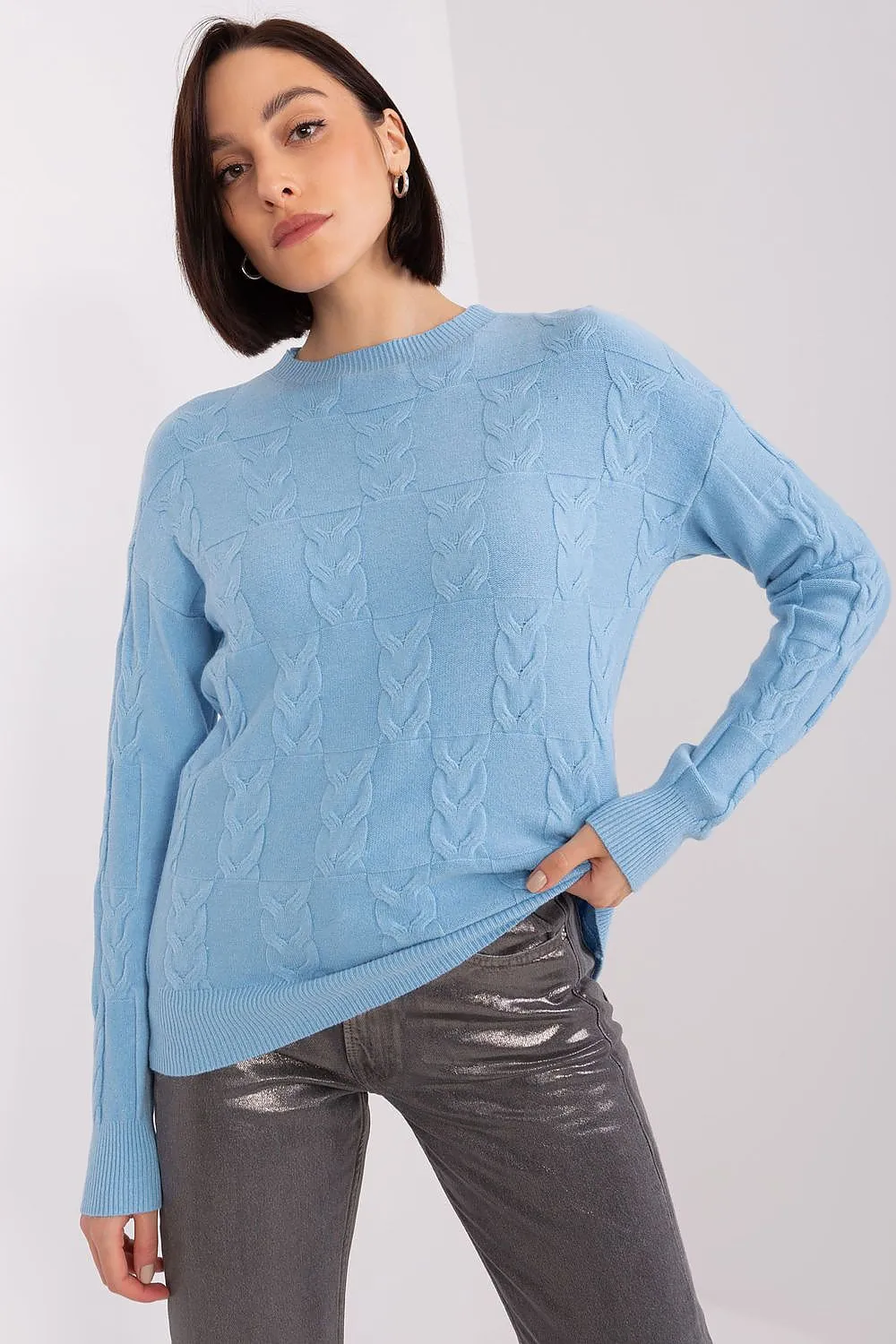 Cardigan model 199545 AT