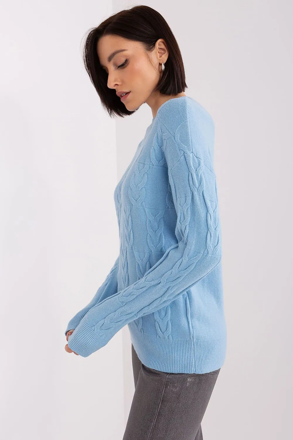 Cardigan model 199545 AT