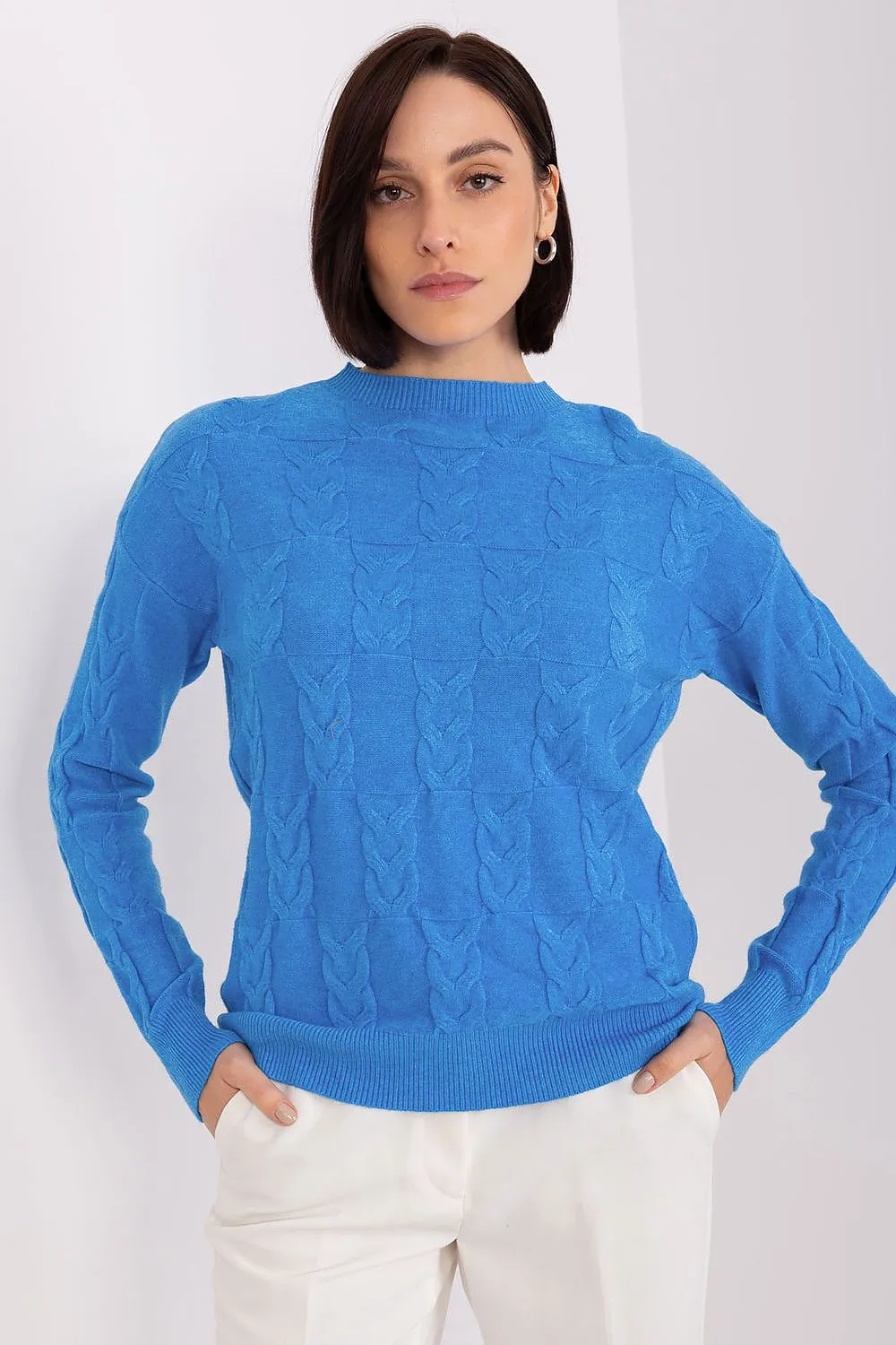 Cardigan model 199545 AT