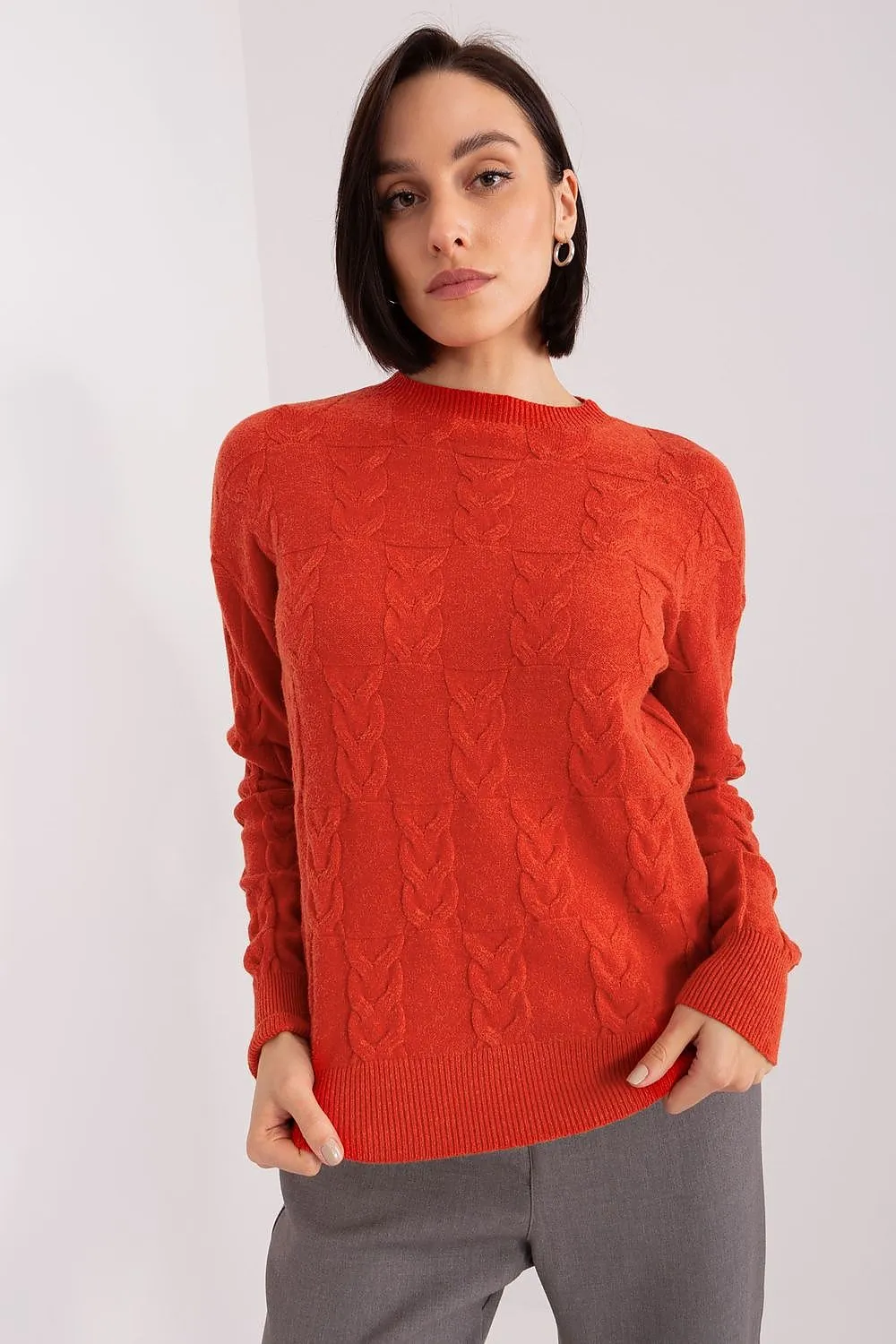Cardigan model 199545 AT