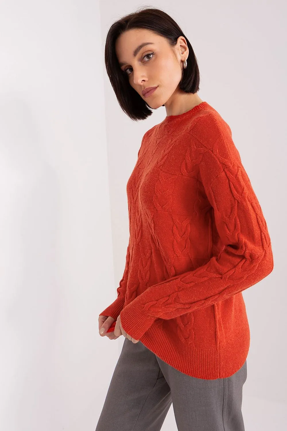 Cardigan model 199545 AT