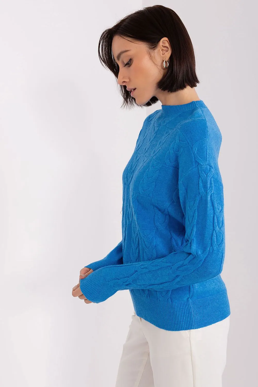 Cardigan model 199545 AT